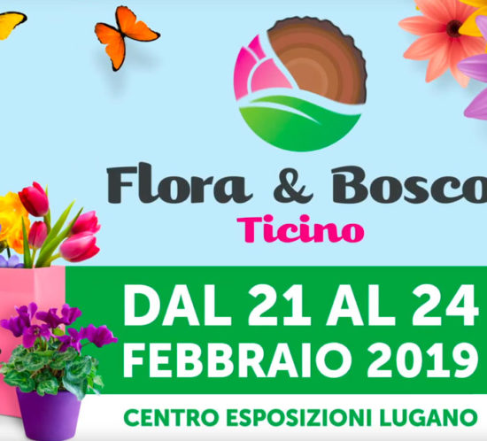Flora e Bosco Ticino dal 21 al 24 febbraio 2019.